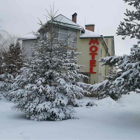 Karpaty Viking Motel Nizhneye Sinevidnoye Dış mekan fotoğraf