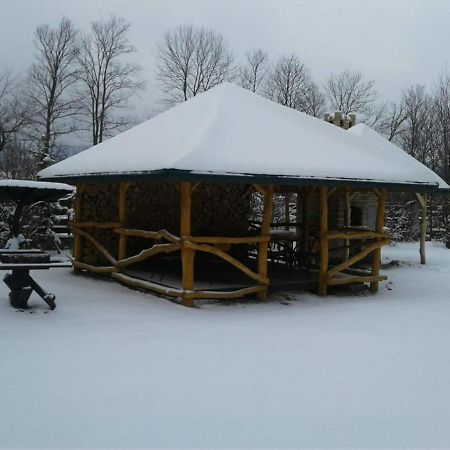 Karpaty Viking Motel Nizhneye Sinevidnoye Dış mekan fotoğraf
