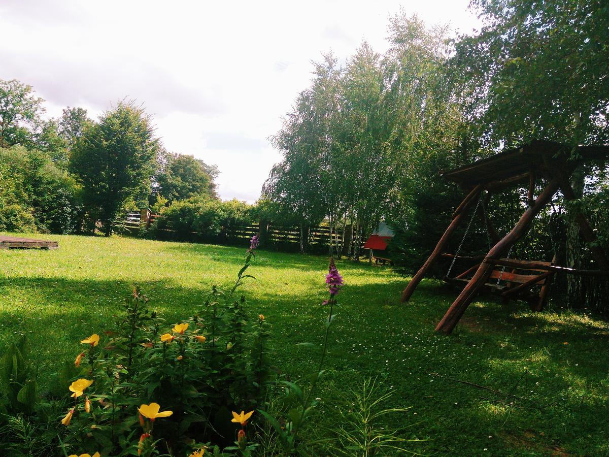 Karpaty Viking Motel Nizhneye Sinevidnoye Dış mekan fotoğraf