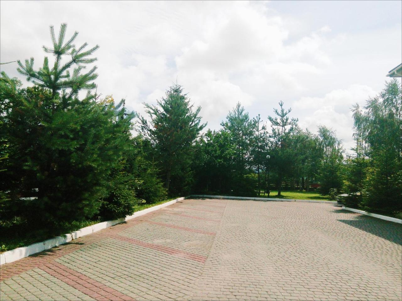 Karpaty Viking Motel Nizhneye Sinevidnoye Dış mekan fotoğraf