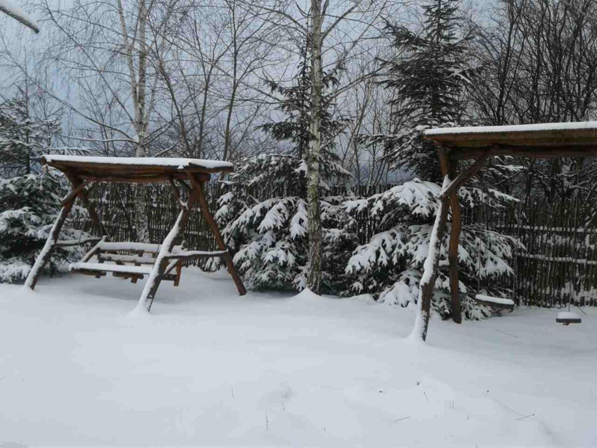 Karpaty Viking Motel Nizhneye Sinevidnoye Dış mekan fotoğraf