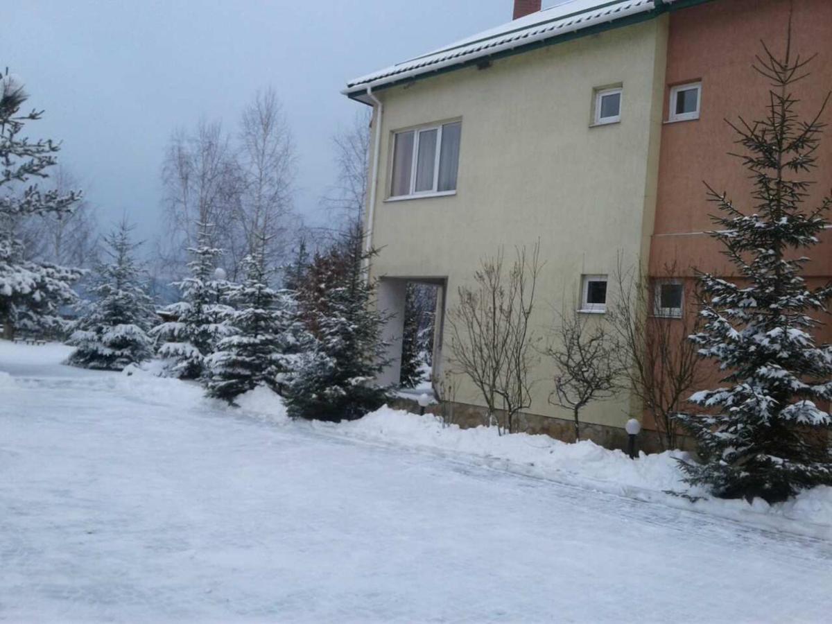 Karpaty Viking Motel Nizhneye Sinevidnoye Dış mekan fotoğraf